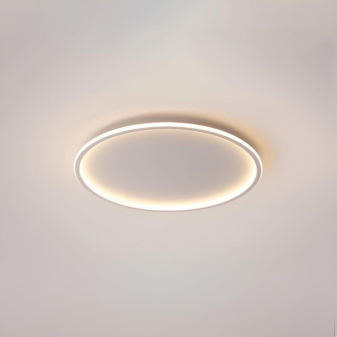 Elegant Round LED Ceiling Light for Modern Homes  **Product Title:** Sophisticated Round LED Ceiling Light - Elegant Illumination for Modern Spaces