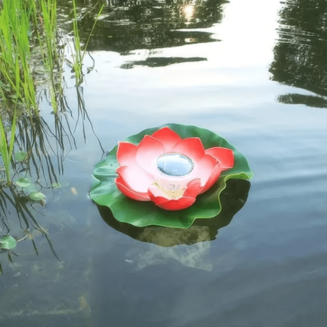 Flydende havespring med LED-lys aktiveret om aftenen